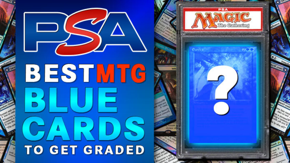 psa grades cards 50 Graded Card Case